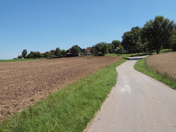 Bild Nr. 31
